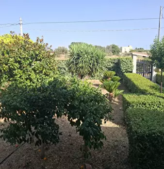 Foto annuncio 6