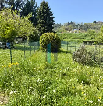 Foto annuncio 37