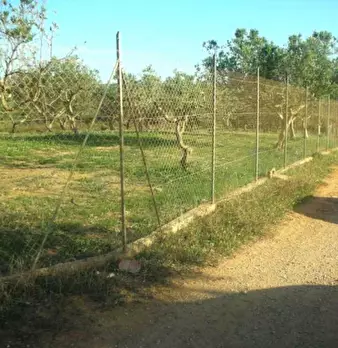 Foto annuncio 3