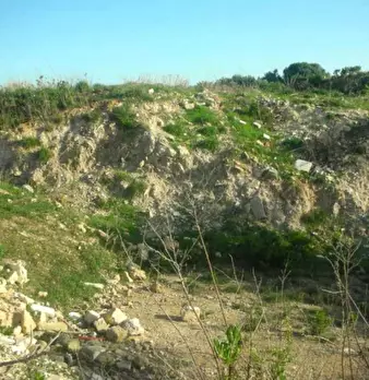 Foto annuncio 4