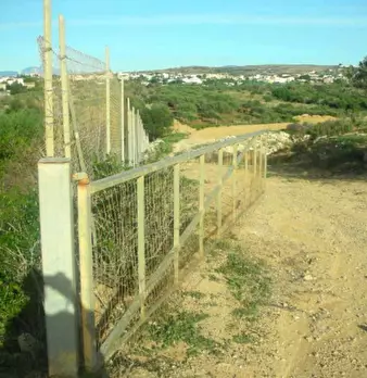 Foto annuncio 5