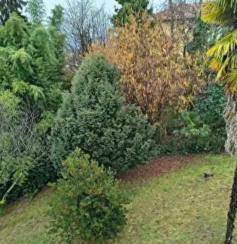Foto annuncio 29