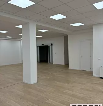 Foto annuncio 13