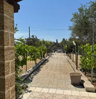 Foto annuncio 7