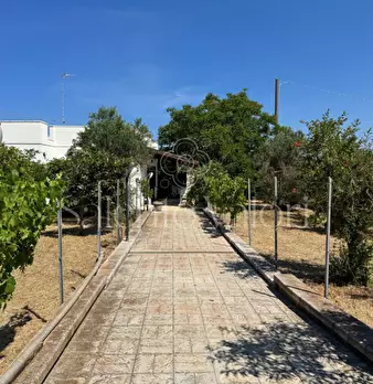 Foto annuncio 9