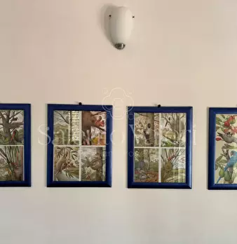 Foto annuncio 19