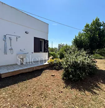 Foto annuncio 30