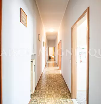 Foto annuncio 7