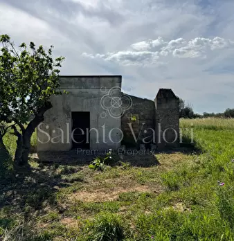 Foto annuncio 1