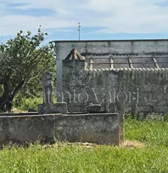 Foto annuncio 5