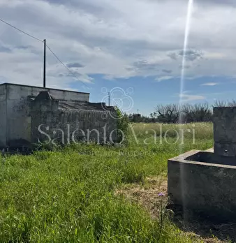 Foto annuncio 6