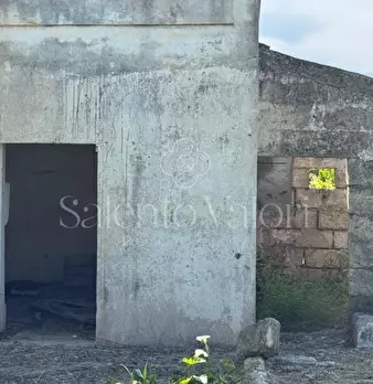 Foto annuncio 9