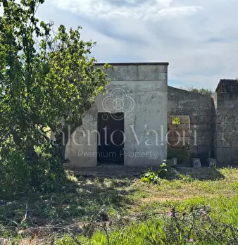 Foto annuncio 9