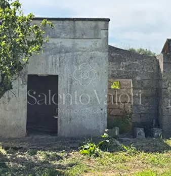 Foto annuncio 10