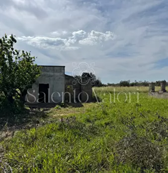 Foto annuncio 13