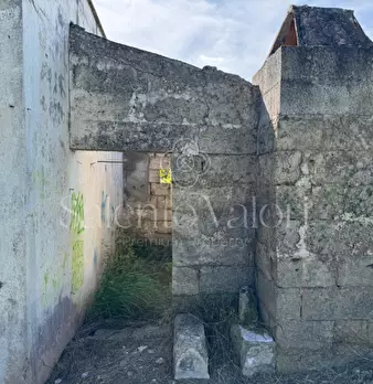 Foto annuncio 17