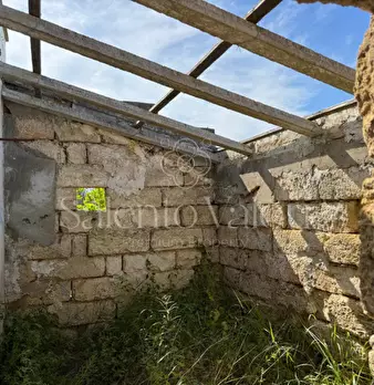 Foto annuncio 20
