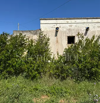Foto annuncio 21