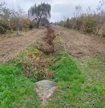 Foto annuncio 3