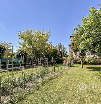 Foto annuncio 10