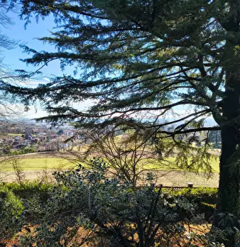 Foto annuncio 39