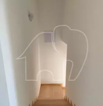 Foto annuncio 22