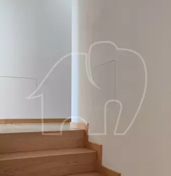 Foto annuncio 24