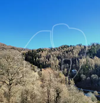 Foto annuncio 35