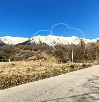 Foto annuncio 36