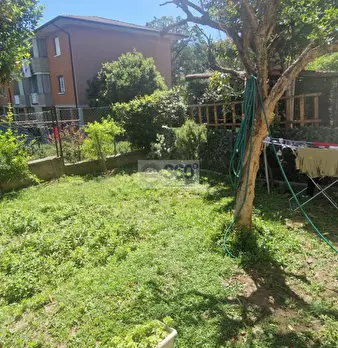 Foto annuncio 7