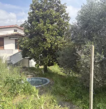 Foto annuncio 6