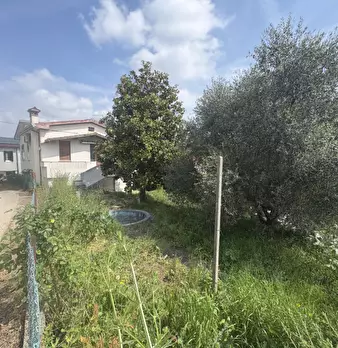 Foto annuncio 7