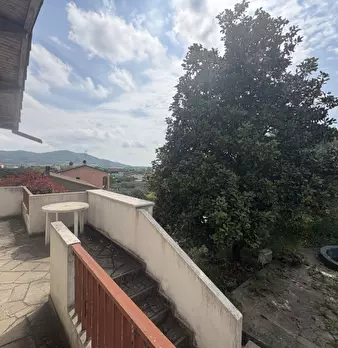 Foto annuncio 17