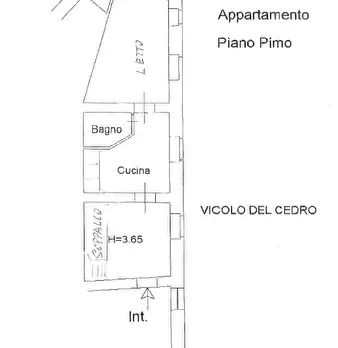 Foto annuncio 31