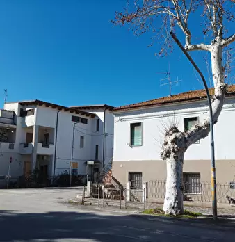 Foto annuncio 3