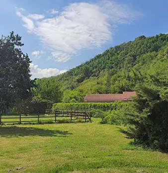 Foto annuncio 27