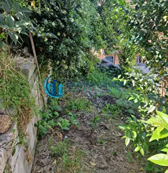 Foto annuncio 24