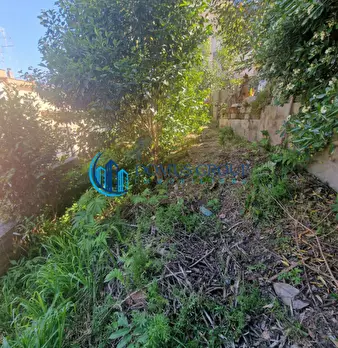 Foto annuncio 25