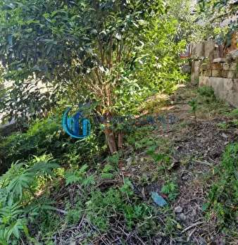 Foto annuncio 26