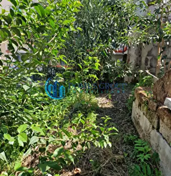 Foto annuncio 28