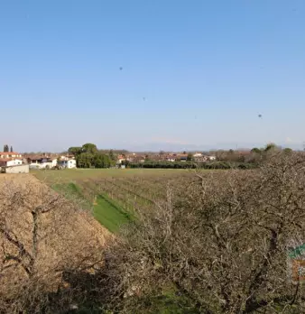 Foto annuncio 22