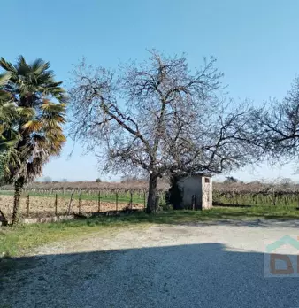 Foto annuncio 24