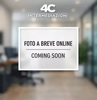 Foto annuncio 4