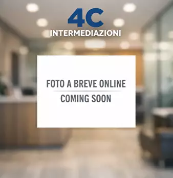 Foto annuncio 7