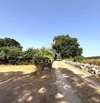 Foto annuncio 7