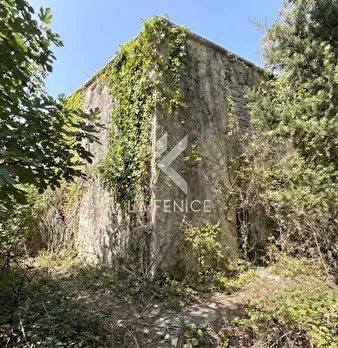 Foto annuncio 11