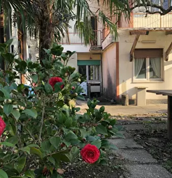 Foto annuncio 7