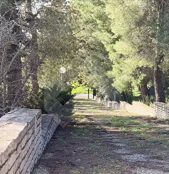 Foto annuncio 4