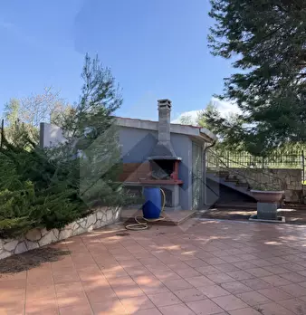 Foto annuncio 11