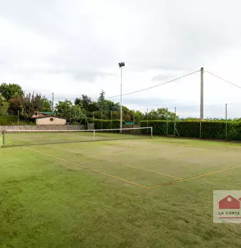 Foto annuncio 6